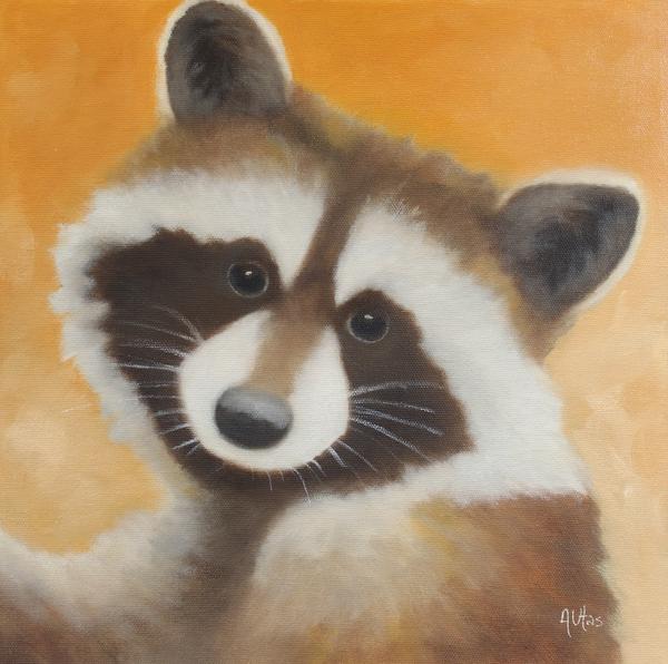 Raccoon Visitor